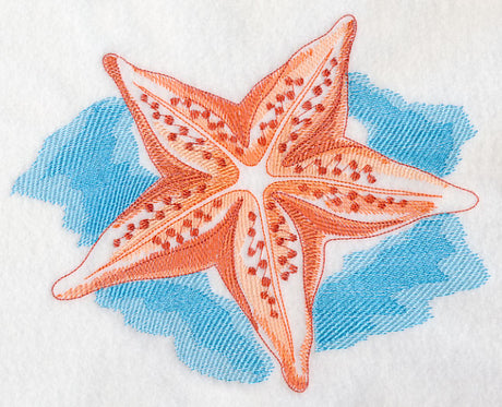 Sea Life Splash - Starfish