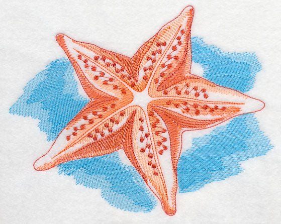Sea Life Splash - Starfish