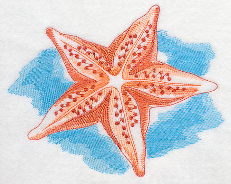 Sea Life Splash - Starfish
