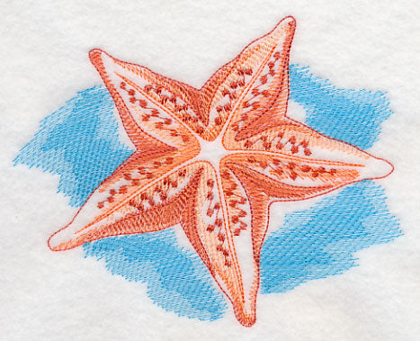 Sea Life Splash - Starfish