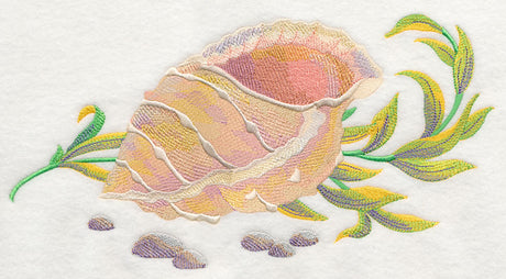 Seashell 1 in Watercolor