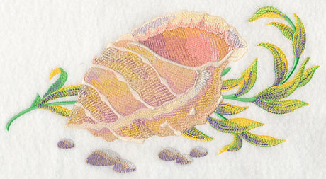 Seashell 1 in Watercolor