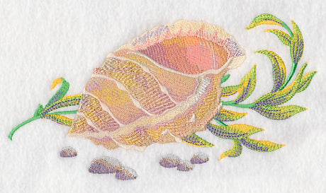 Seashell 1 in Watercolor