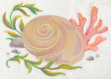 Seashell 2 in Watercolor