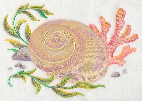 Seashell 2 in Watercolor