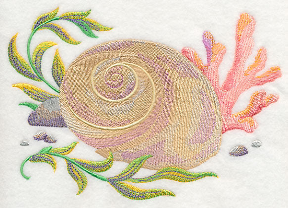 Seashell 2 in Watercolor