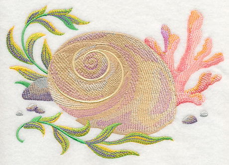 Seashell 2 in Watercolor