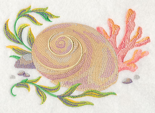 Seashell 2 in Watercolor