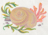 Seashell 2 in Watercolor