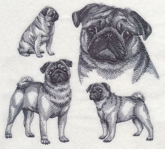 Pug Sketch