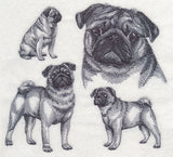 Pug Sketch