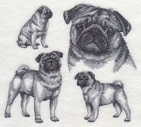 Pug Sketch