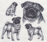 Pug Sketch