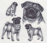 Pug Sketch