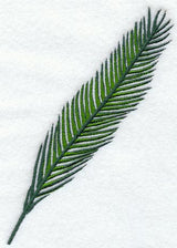 Palm Frond