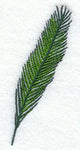 Palm Frond