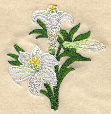 Easter Lilies