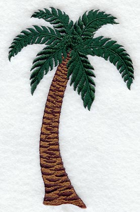 Palm Tree