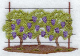 Grape Vines - No Text