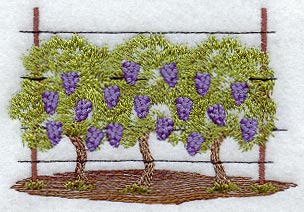 Grape Vines - No Text