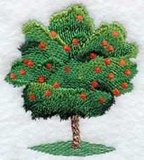 Orange Tree - No Text