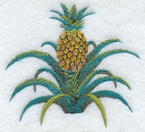 Pineapple Tree - No Text