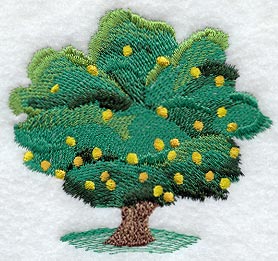 Lemon Tree - No Text