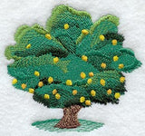 Lemon Tree - No Text