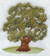 Olive Tree - No Text