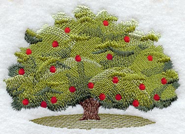 Apple Tree - No Text