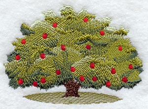 Apple Tree - No Text