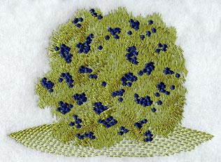 Blueberry Bush - No Text