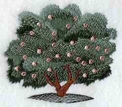 Peach Tree - No Text