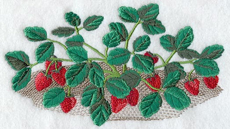 Strawberry Bush - No Text