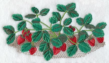 Strawberry Bush - No Text