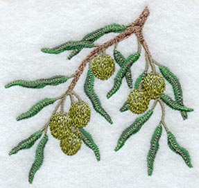 Olive Branch - No Text