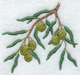 Olive Branch - No Text