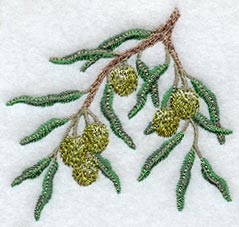 Olive Branch - No Text