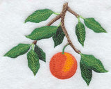 Orange Branch - No Text