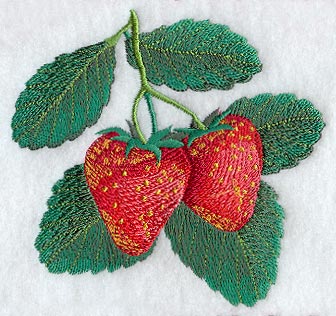 Strawberries - No Text