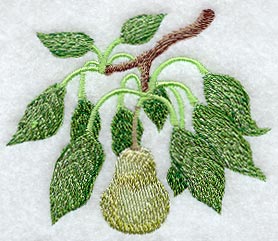 Pear Branch - No Text