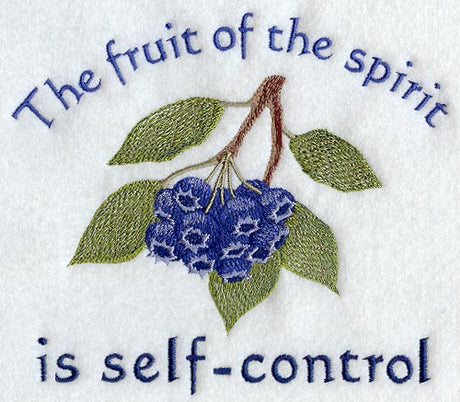 Blueberries - Self Control