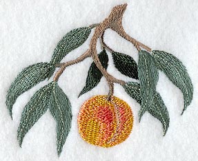 Peach Branch - No Text