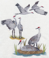 Sandhill Crane Collage