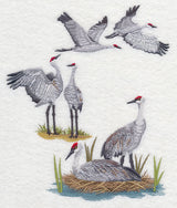 Sandhill Crane Collage