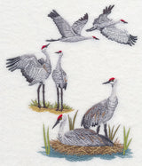 Sandhill Crane Collage