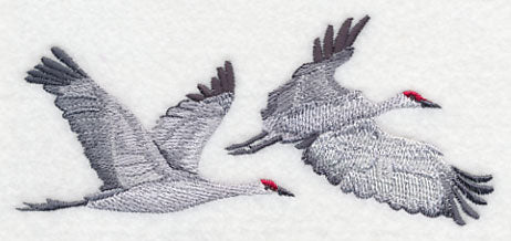 Sandhill Cranes in Flight