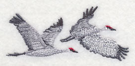 Sandhill Cranes in Flight