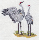 Sandhill Crane Pair