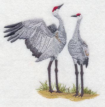 Sandhill Crane Pair